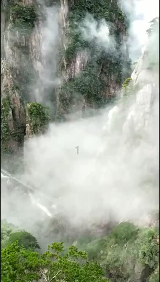 小猫钓鱼游戏龙王版有船